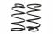 Пружина амортизационной стойки (RS)